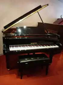 PIANO A QUEUE 151