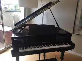 PIANO A QUEUE KIEFFER 166 + SILENCIEUX