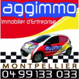 Local commercial monptellier Hopitaux fa