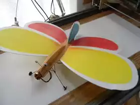 avion indoor papillon