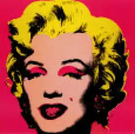 Affiches encadrées M. Monroe par Warhol