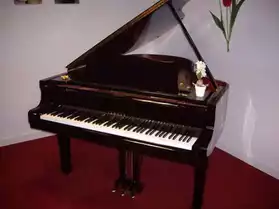 PIANO A QUEUE YAMAHA C3