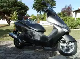scooter majsty