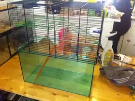 cage pour gerbille