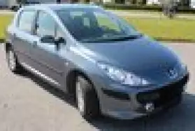 Peugeot 307 1,6 XS HDI a vendre