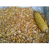 Maïs grain récolte 2014