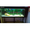 Aquarium de 350 Litres