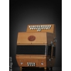 Fabricant et réparateur d'accordéons à s