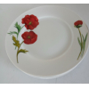 Lots 6 grandes assiettes porcelaine