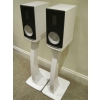 RAIDHO X1 LOUDSPEAKERS WITH STAND
