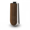 B&O (Bang & Olufsen) BeoLab 50