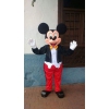 Mascottes Mickey et Minnie sur Lyon