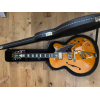 Guitare Electrique D'angelico