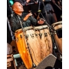 cours de percussions,congas,timbales.etc