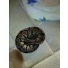 terrarium + 2 pythons mâle et femelle