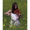 Cours de violon et solfège sur Metz
