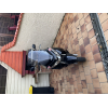 Scooter BURGMANN 200
