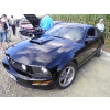 FORD MUSTANG GT 4.6 L