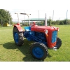 Sonstige/Other - IMT 533 - Tracteur agri