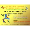 oiseaux :EXPOSITION BOURSES OCTOBRE 15
