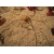 Petite Annonce : Coquillages de collection - \"Enorme collection\"- coquillages ,Crabes ,Oursins, étoiles de mer, Petite Annonce : Coquillages de collection - \"Enorme collection\"- coquillages ,Crabes ,Oursins, étoiles de mer,