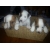 Petite Annonce : Chiots type jack russel pour adoption - Pour adoption trois chiots jack russel née durant le mois de Petite Annonce : Chiots type jack russel pour adoption - Pour adoption trois chiots jack russel née durant le mois de