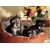Petite Annonce : Chiots yorkshire males et femelles - Nos chiots sont agés de trois mois inscrits au lof (livre des Petite Annonce : Chiots yorkshire males et femelles - Nos chiots sont agés de trois mois inscrits au lof (livre des
