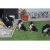 Petite Annonce : Très beaux chiots bouvier bernois lof - Chiots femelles & mâles inscrits aux l.o.f,ils sont agés de trois Petite Annonce : Très beaux chiots bouvier bernois lof - Chiots femelles & mâles inscrits aux l.o.f,ils sont agés de trois