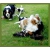 Petite Annonce : Chiots cavalier king charles lof - Petites merveilles, femelle et male, lof, sur une
portée de 7 Petite Annonce : Chiots cavalier king charles lof - Petites merveilles, femelle et male, lof, sur une
portée de 7