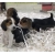 Petite Annonce : Chiots beagle - Nos chiots sont agés de trois mois,vaccinés, identifiés par puce Petite Annonce : Chiots beagle - Nos chiots sont agés de trois mois,vaccinés, identifiés par puce