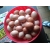 Petite Annonce : Oeufs frais - Vends oeufs frais venant de mes poules pondeuses a chercher sur Petite Annonce : Oeufs frais - Vends oeufs frais venant de mes poules pondeuses a chercher sur