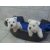 Petite Annonce : Adorables chiots westie - Nos chiots sont agés de trois mois inscrits au lof (livre des Petite Annonce : Adorables chiots westie - Nos chiots sont agés de trois mois inscrits au lof (livre des
