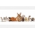 Petite Annonce : Garde d\'animaux - Bonjour,
Aimant les animaux je suis pet-sitter a temps complet a mon Petite Annonce : Garde d\'animaux - Bonjour,
Aimant les animaux je suis pet-sitter a temps complet a mon