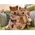 Petite Annonce : Adorables chiots shiba inu - Nos chiots sont agés de trois mois inscrits au lof (livre des Petite Annonce : Adorables chiots shiba inu - Nos chiots sont agés de trois mois inscrits au lof (livre des