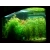 Petite Annonce : Installation, entretien et maintenance d - Paysagiste aquatique spécialisé dans la création de Paysages Petite Annonce : Installation, entretien et maintenance d - Paysagiste aquatique spécialisé dans la création de Paysages