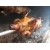 Petite Annonce : Cochon grille - Pour vos fêtes, anniversaire, communion, mariage et retour, repas Petite Annonce : Cochon grille - Pour vos fêtes, anniversaire, communion, mariage et retour, repas