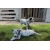 Petite Annonce : Chiots dalmatien lof - Chiots mâles et femelles inscvrits au Lof sur une portée de 7 Petite Annonce : Chiots dalmatien lof - Chiots mâles et femelles inscvrits au Lof sur une portée de 7