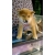 Petite Annonce : Chiots shiba inu - Adorables mâles et femelles agés de trois mois.
ils sont LOF, Petite Annonce : Chiots shiba inu - Adorables mâles et femelles agés de trois mois.
ils sont LOF,