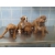 Petite Annonce : Chiots boxer - Adorables mâles et femelles agés de trois mois.
ils sont LOF, Petite Annonce : Chiots boxer - Adorables mâles et femelles agés de trois mois.
ils sont LOF,