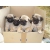 Petite Annonce : Chiots carlin - 3 mâle, 1 femelle agés de trois mois .
sur une portée de de 5 Petite Annonce : Chiots carlin - 3 mâle, 1 femelle agés de trois mois .
sur une portée de de 5