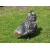 Petite Annonce : Poules wyandotte argente lisere noire - Vends poule wyandotte argente lisere noire en race naine
elles sont Petite Annonce : Poules wyandotte argente lisere noire - Vends poule wyandotte argente lisere noire en race naine
elles sont