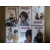 Petite Annonce : Mangas blaech - Bonjour je vend les mangas bleach de 1 a 6 je peux négocier le prix Petite Annonce : Mangas blaech - Bonjour je vend les mangas bleach de 1 a 6 je peux négocier le prix
