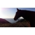 Petite Annonce : Pension chevaux - Chez un particulier
dans une propriete prive
boxe avec paddock Petite Annonce : Pension chevaux - Chez un particulier
dans une propriete prive
boxe avec paddock