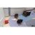 Petite Annonce : Chiots yorkshire lof - Disponibles de suite un male et deux femelles ils vivent ici avec Petite Annonce : Chiots yorkshire lof - Disponibles de suite un male et deux femelles ils vivent ici avec