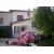 Petite Annonce : Maison de ville - A vendre maison de ville à étage (102m²) comprenant cuisine équipée Petite Annonce : Maison de ville - A vendre maison de ville à étage (102m²) comprenant cuisine équipée