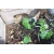 Petite Annonce : Tortue naissance 2018 - Vends tortue de terre 2018, en pleine forme vivant en exterieur a Petite Annonce : Tortue naissance 2018 - Vends tortue de terre 2018, en pleine forme vivant en exterieur a