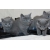 Petite Annonce : Magnifiques chatons chartreux loof - A vendre 5 chatons chartreux inscrits au LOOF.
Ils sont nés le 10 Petite Annonce : Magnifiques chatons chartreux loof - A vendre 5 chatons chartreux inscrits au LOOF.
Ils sont nés le 10