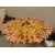 Petite Annonce : Paella cuisinée sur place - Nouvel auto-entrepreneur en Ille et Vilaine, je vous propose pour vos ... Petite Annonce : Paella cuisinée sur place - Nouvel auto-entrepreneur en Ille et Vilaine, je vous propose pour vos ...