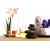 Petite Annonce : Service relaxation poitiers centre - Nona relaxologue, vous propose ses services pour passer un réel Petite Annonce : Service relaxation poitiers centre - Nona relaxologue, vous propose ses services pour passer un réel