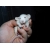 Petite Annonce : Bébés rats / ratons à réserver - Quelques bébés rats (ratons) mâles et femelles sont à réserver , Petite Annonce : Bébés rats / ratons à réserver - Quelques bébés rats (ratons) mâles et femelles sont à réserver ,